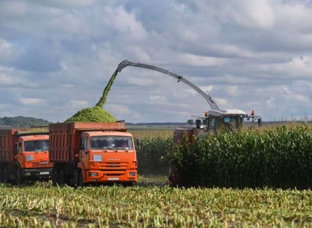 Комбайн «Ростсельмаша» установил рекорд России по производительности на полях в Орловском районе - ДОН24, 31.08.2026