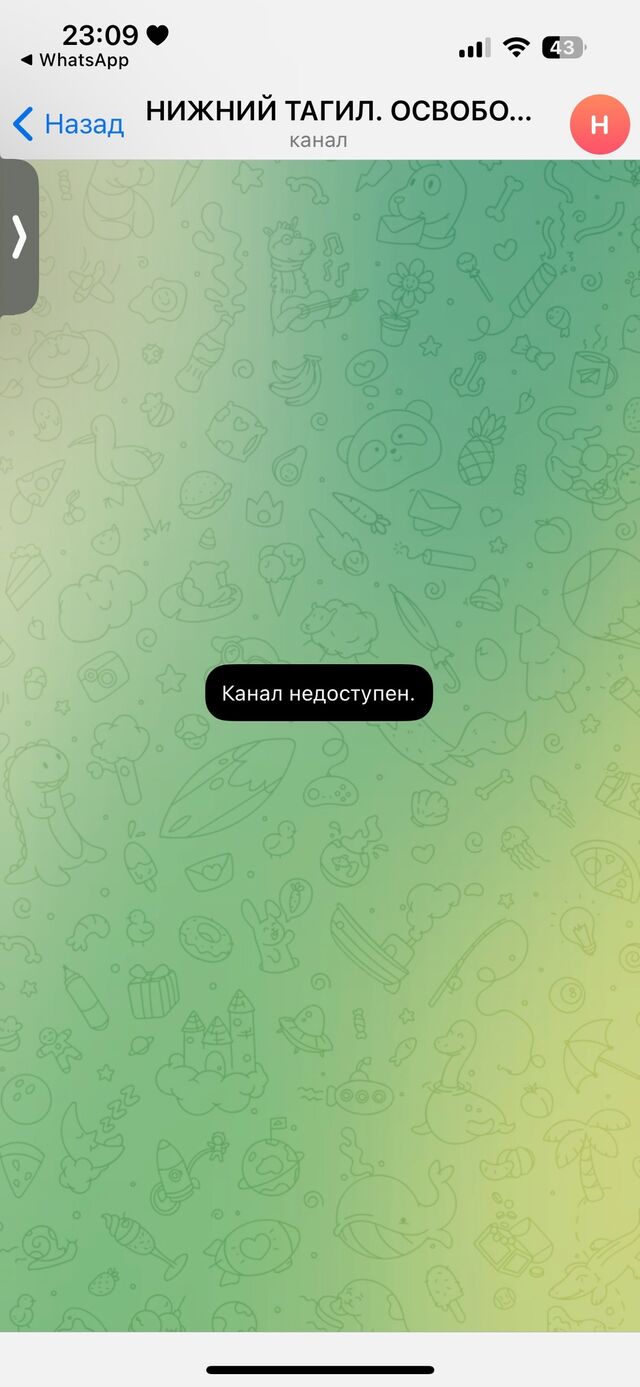 В школьных чатах Нижнего Тагила обсуждают телеграм-чат, который был создан 3 марта. В чате неизвестные якобы готовят покушения в школах Нижнего Тагила. Дан список школ, сняты видео из учебных заведений и с улиц города. Невозможно понять, действительно ли кадры были сделаны на территории нашего города. - Новости Нижнего Тагила | TagilCity.ru, 03.03.2025