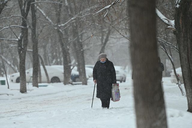 В Челябинской области назначат новые надбавки к пенсиям - Южноуральская панорама, 21.11.2024