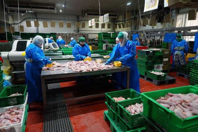 В Челябинской области растет производство продуктов питания - Южноуральская панорама, 17.09.2025