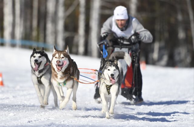 Челябинцы планируют потратить на зимний отдых 20 тысяч рублей - Южноуральская панорама, 19.11.2025