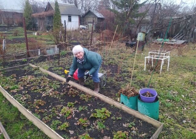 Ягодка к ягодке. Пришло время клубничных воротничков и сушеных хвостиков - Южноуральская панорама, 19.04.2026