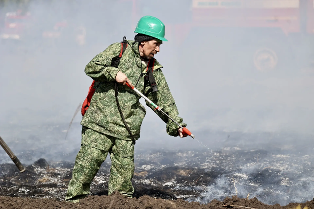 На Южном Урале за сутки произошло 77 ландшафтных пожаров - Южноуральская панорама, 20.04.2026