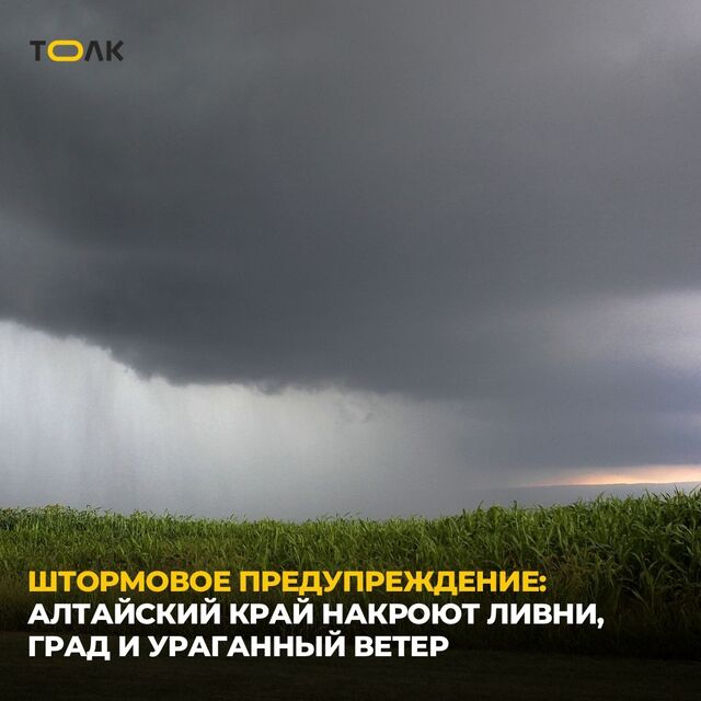 Жителей Алтайского края предупредили о надвигающейся непогоде - ТОЛК, 31.08.2025