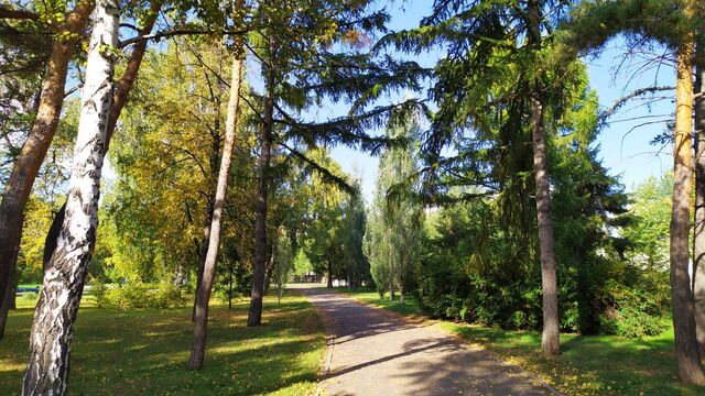 Сквер в крупном селе Приморского края обустроят на федеральные деньги - Восток-Медиа, 27.07.2023