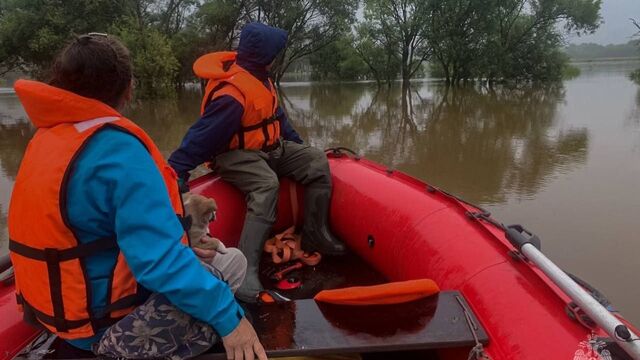 Сотрудники МЧС спасли людей во время потопа в Приморье — видео - Восток-Медиа, 06.08.2023
