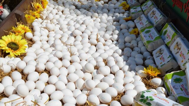 Чем грозит переедание яиц эксперты рассказали жителям Приморского края - Восток-Медиа, 03.05.2024