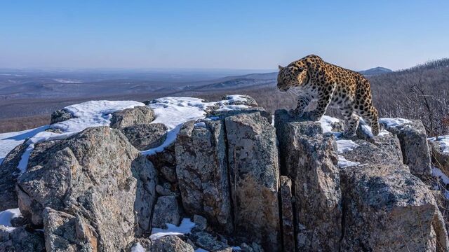 Фотомодель из Приморья покорила сердца россиян - Восток-Медиа, 06.10.2024