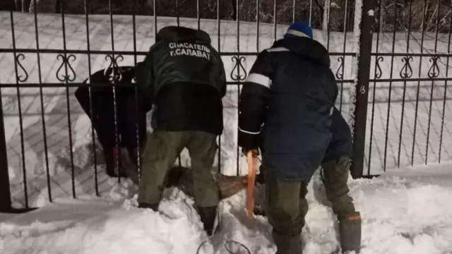 В Салавате косуля застряла в ограде парка и едва не погибла - Новости Уфы и Башкирии - Медиакорсеть, 29.01.2025