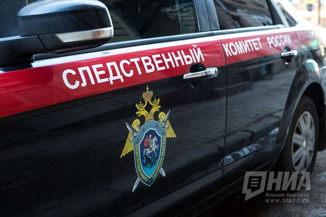 Зверская драка школьниц в Дзержинске заинтересовала главу СК Бастрыкина - НИА Нижний Новгород, 25.05.2025