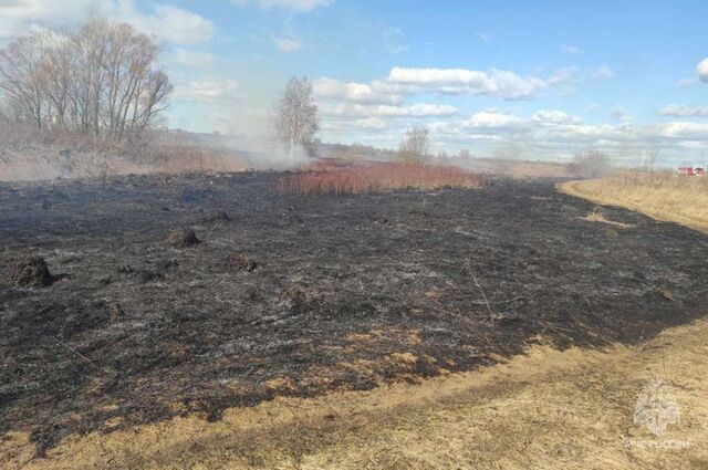 Более 15 пожаров зафиксировано в Нижегородской области за сутки - НИА Нижний Новгород, 11.06.2025
