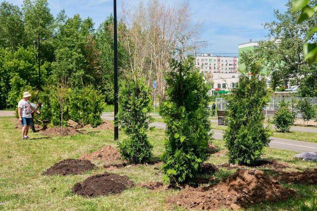 Почти три тысячи деревьев появится на улицах Нижнего Новгорода до конца года Почти три тысячи деревьев появится на улицах Нижнего Новгорода до конца года - НИА Нижний Новгород, 11.06.2025