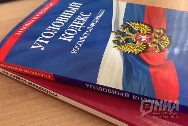 Нижегородка получила срок за незаконные валютные операции на 62 млн рублей - НИА Нижний Новгород, 04.07.2025