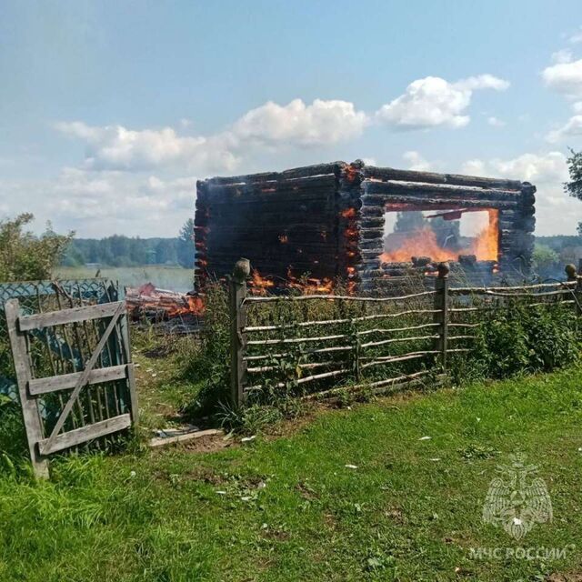 Человек заживо сгорел в Ветлужском округе - НИА Нижний Новгород, 05.07.2025