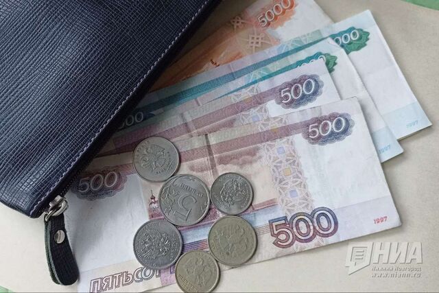 Нижегородская компания погасила миллионный долг, опасаясь продажи земли - НИА Нижний Новгород, 08.07.2025