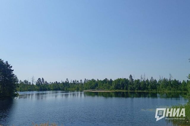 Нижегородский инфекционист предупредила о риске заболеваний при купании - НИА Нижний Новгород, 27.07.2025