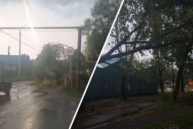 Мэр Щелоков рассказал о последствиях урагана в Арзамасе - НИА Нижний Новгород, 02.08.2025