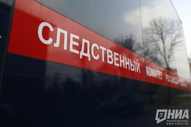 СК завел дело на мигранта, напавшего на автобус в Нижнем Новгороде - НИА Нижний Новгород, 29.10.2025