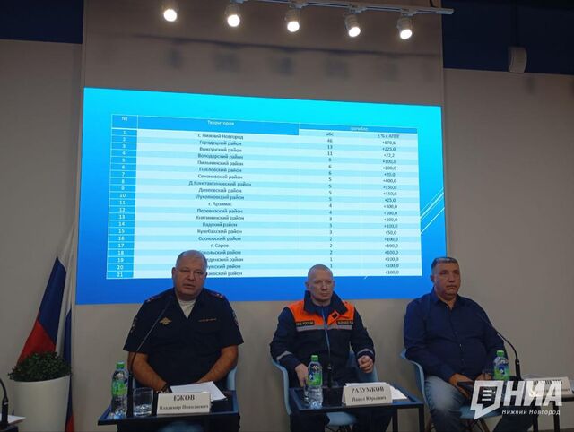 Названы районы Нижегородской области, где выросла смертность в ДТП - НИА Нижний Новгород, 29.10.2025