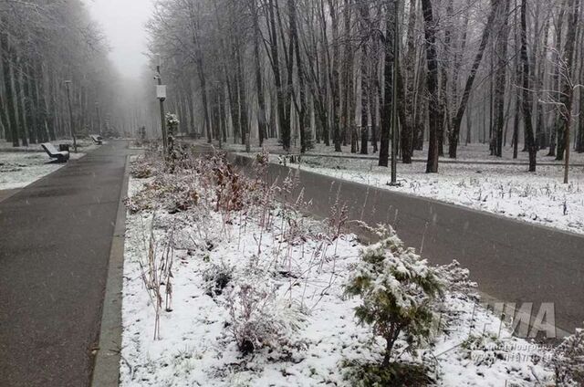 Дожди с мокрым снегом ждут нижегородцев на предстоящей неделе - НИА Нижний Новгород, 09.11.2025