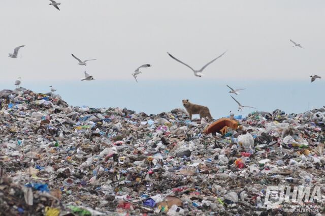 На ликвидацию свалок в Нижнем Новгороде направят еще 6,6 млн рублей - НИА Нижний Новгород, 19.11.2025