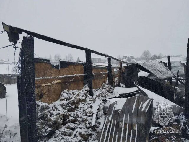 35 коров погибли на пожаре в Нижегородской области - НИА Нижний Новгород, 22.02.2026