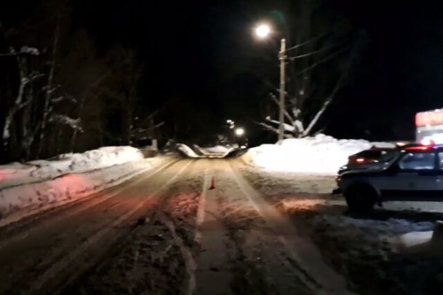 Иномарка сбила двух пешеходов в Семенове - НИА Нижний Новгород, 23.02.2026