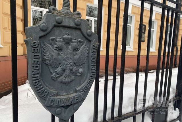 Организатора незаконной миграции посадили на 3,5 года в Нижнем Новгороде - НИА Нижний Новгород, 24.02.2026