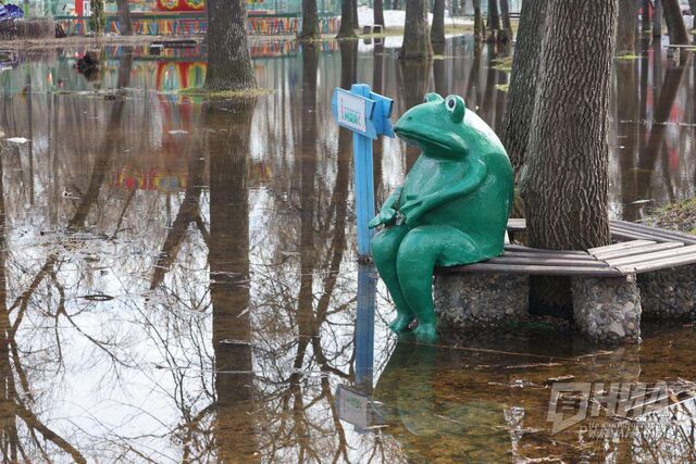 Паводок в Нижегородской области: какие инфекции приносит талая вода - НИА Нижний Новгород, 05.03.2026