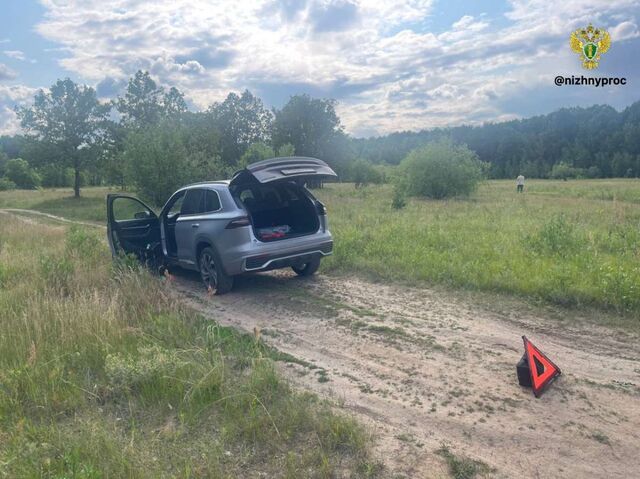 Суд вынес приговор водителю доставки, сбившего насмерть ребенка в Дзержинске - НИА Нижний Новгород, 06.03.2026