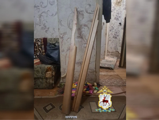 Нижегородец жестоко избил пенсионерку наличником от двери - НИА Нижний Новгород, 13.04.2026