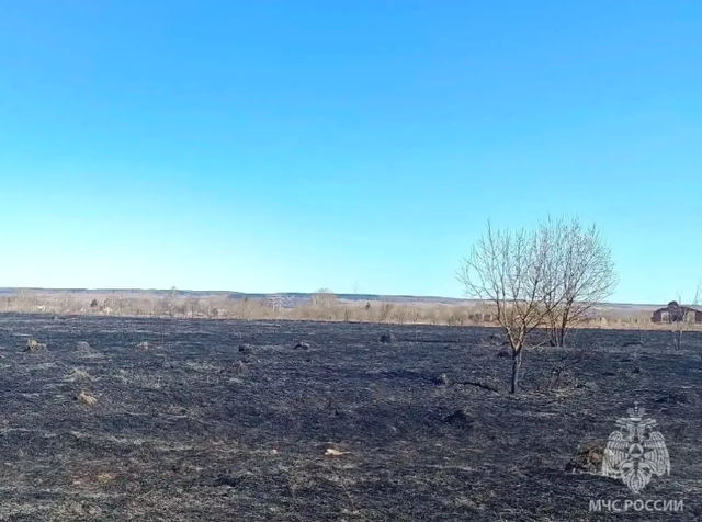 Началось: четыре травяных пожара произошло за сутки в Нижегородской области - НИА Нижний Новгород, 16.04.2026
