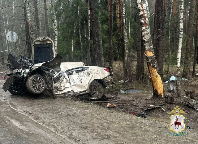 Выяснилось, где в Нижегородской области чаще всего происходят ДТП - НИА Нижний Новгород, 20.04.2026