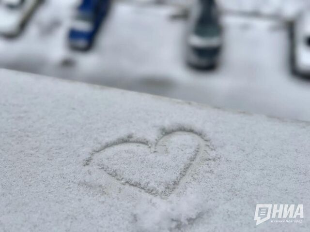 Апрельская метель обрушилась на Нижний Новгород - НИА Нижний Новгород, 20.04.2026