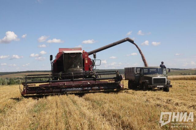 Аграрии Нижегородской области начали весенне‑полевые работы - НИА Нижний Новгород, 25.04.2026