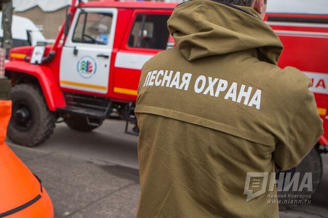 Четвертый класс пожароопасности ввели в 20 районах Нижегородской области - НИА Нижний Новгород, 10.05.2026