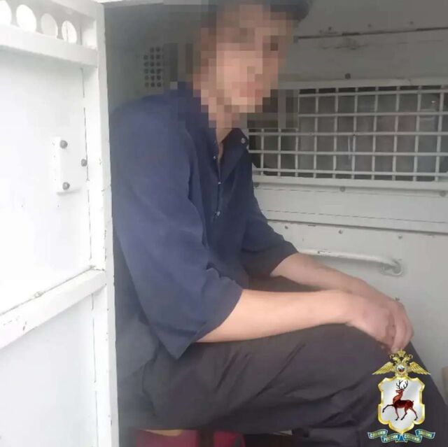 Напал на журналистов: друга нижегородского мажора арестовали на 8 суток - НИА Нижний Новгород, 26.05.2026