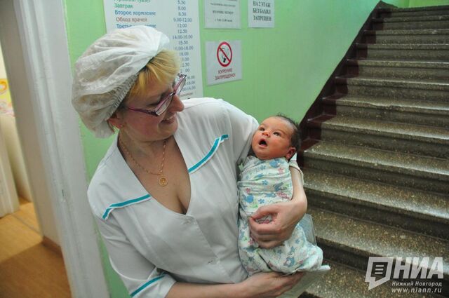 Маттеа, Вадаръ и Леонилла родились в Нижегородской области - НИА Нижний Новгород, 04.06.2026