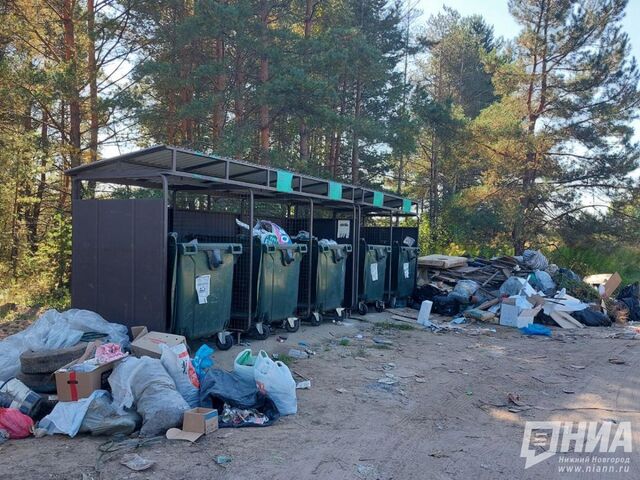 Борская администрация ввела режим повышенной готовности из-за мусорных навалов - НИА Нижний Новгород, 23.06.2026
