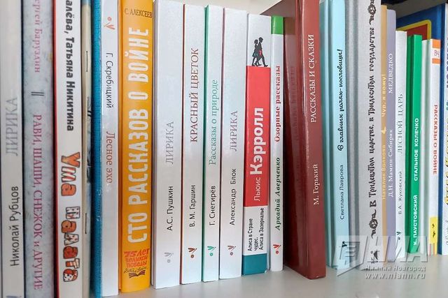 Нижегородской издатель детских книг утратил товар после атак на склады WB - НИА Нижний Новгород, 26.07.2026