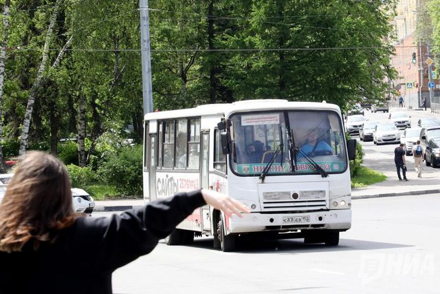 Менять класс пригородных автобусов в Нижегородской области пока не планируют - НИА Нижний Новгород, 09.09.2026