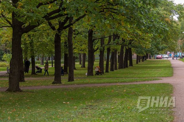 Масштабную реконструкцию Сормовского парка планируют завершить в 2031 году - НИА Нижний Новгород, 15.09.2026