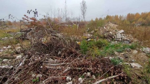 Более 185 тысяч рублей взыщут с компании за ущерб почвам в Дзержинске - НИА Нижний Новгород, 28.10.2026