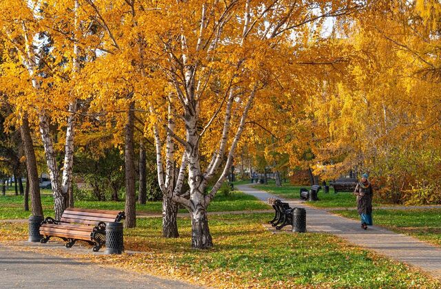 Доброе утро, челябинцы! Сегодня будет облачно ,температура днем +12, ночью +8. - Наш Челябинск, 07.10.2024