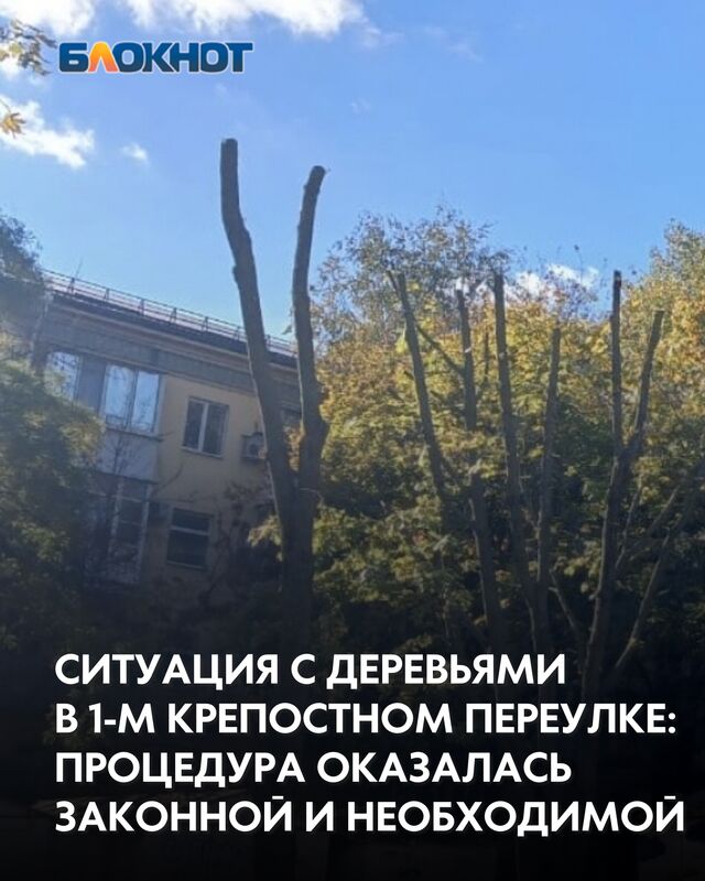 В материале от 19 октября мы рассказали о беспокойстве жительницы дома №34 по 1-му Крепостному переулку. Тогда она выразила возмущение активной обрезкой деревьев во дворе, назвав ее «уничтожением». После проверки фактов оказалось, что первоначальные опасения не подтвердились. Работы были проведены не только на законных основаниях, но и с четкой практической целью. В материале от 19 октября мы рассказали о беспокойстве жительницы дома №34 по 1-му Крепостному переулку. Тогда она выразила возмущение активной обрезкой деревьев во дворе, назвав ее «уничтожением». После проверки фактов оказалось, что первоначальные опасения не подтвердились. Работы были проведены не только на законных основаниях, но и с четкой практической целью. - Блокнот Таганрог, 31.10.2025