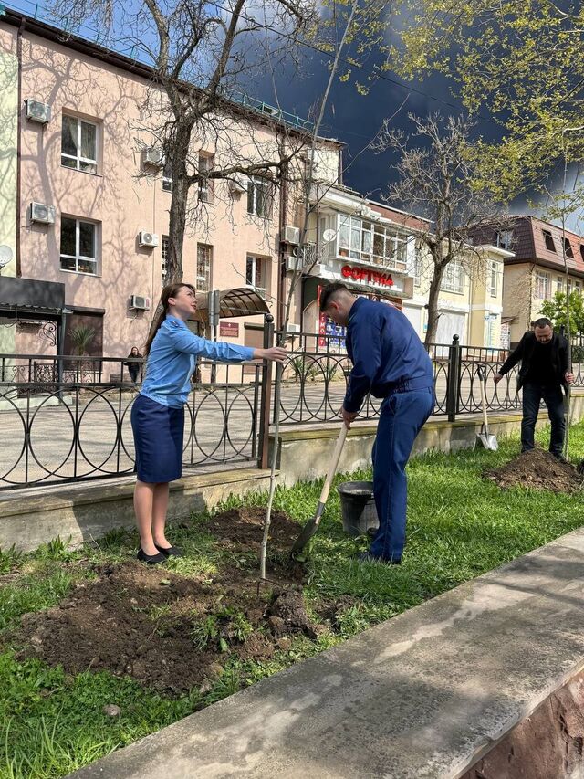 Прокуратура Туапсе высадила деревья на фоне дыма от БПЛА — пользователи в шоке - Краснодар, 22.04.2026