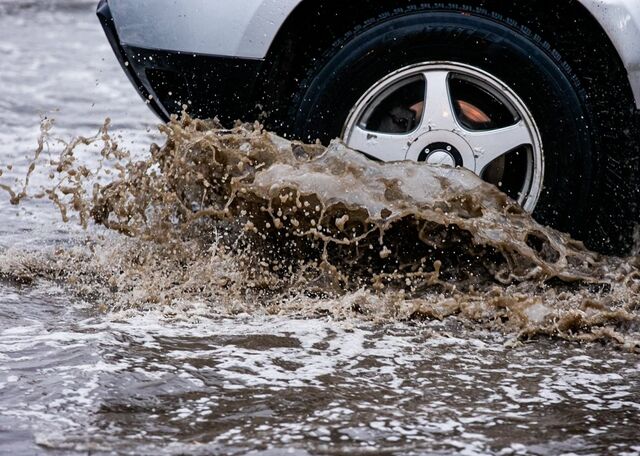 Потеплением до +10°С и дождем завершится неделя в Уссурийске - UssurMedia: Лента новостей, 21.03.2026