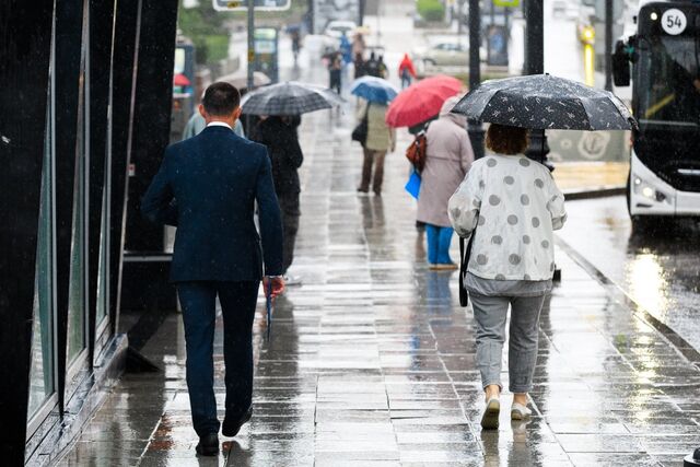 Дожди и туман ожидаются в Приморье 22 марта - PrimaMedia: Лента новостей, 22.03.2026