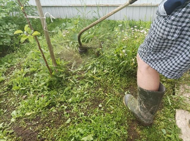 Советская смекалка в действии: как дачники давали вторую жизнь вещам — актуально и в наши дни - PrimaMedia: Лента новостей, 22.03.2026