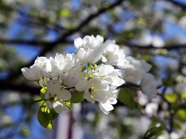 Антициклон принесет тепло 24 марта в Приморье - PrimaMedia: Лента новостей, 24.03.2026